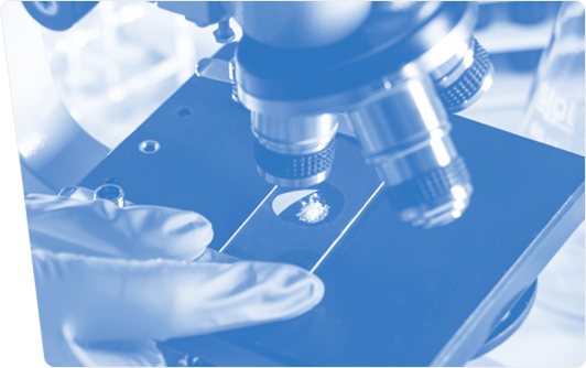 Quality Management System